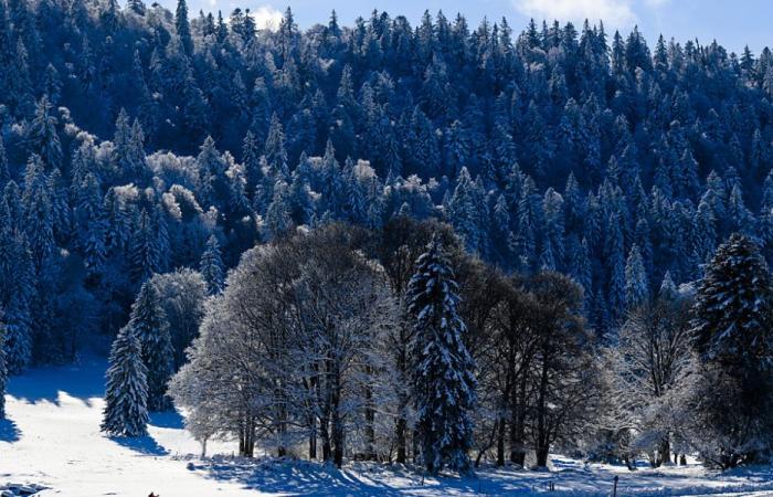 accès gratuit aux pistes le jeudi en Suisse romande