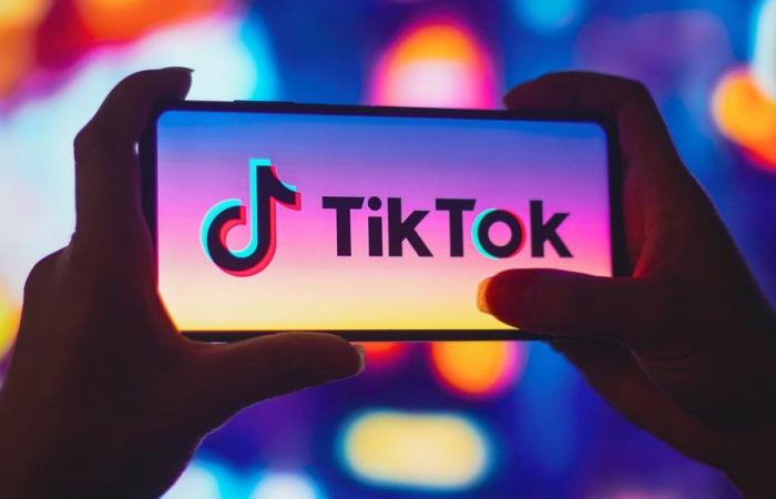 Trump demande aux tribunaux américains un moratoire sur l’interdiction de TikTok