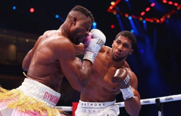 le combattant camerounais paie encore le prix de sa lourde défaite face à Anthony Joshua