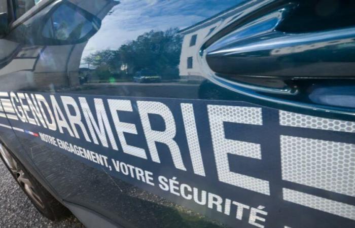 Moselle. A contresens sur l’A4 entre Metz et Saint-Avold, un conducteur intercepté par les gendarmes à Longeville-lès-Saint-Avold