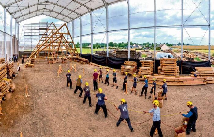 charpente, flèche, faîteaux… les images marquantes de la reconstruction de la toiture disparue