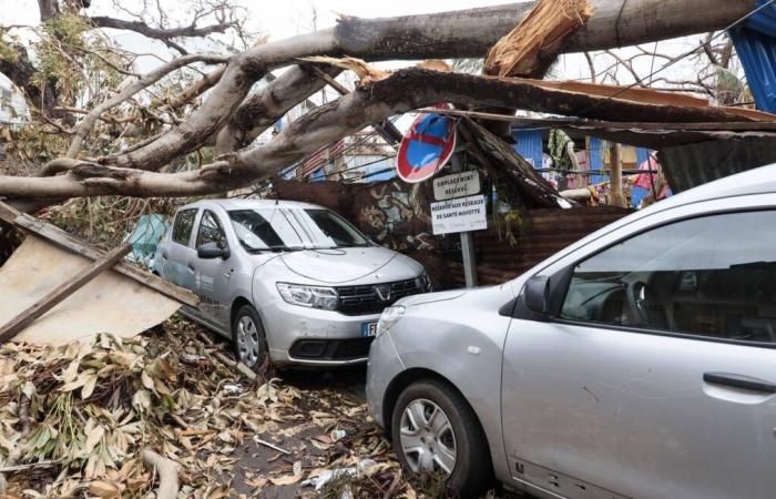 23 millions d’euros déjà récoltés par la Fondation de France