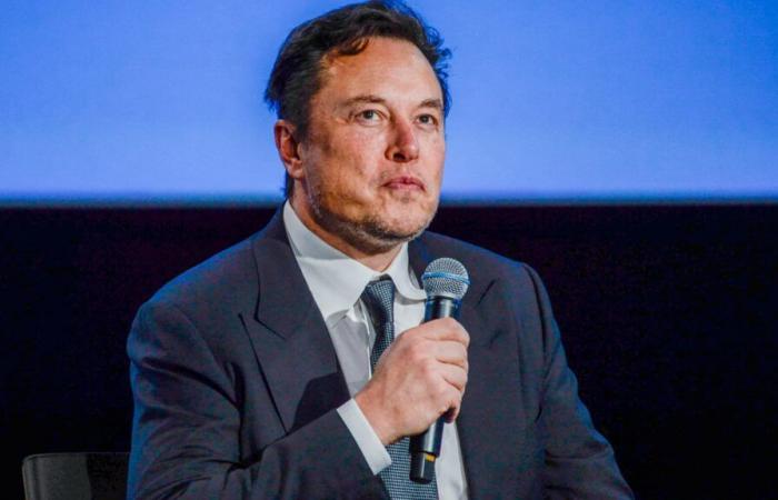 Elon Musk signe une tribune pro-AfD dans Die Welt, un journaliste démissionne