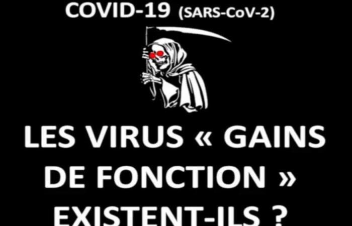 Les gains de fonction existent-ils ?