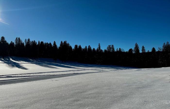 “Donner une bonne piste aux gens, c’est ce qui me fait plaisir”