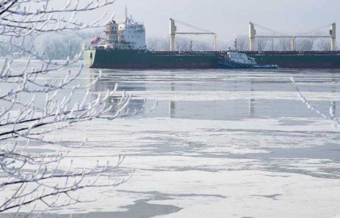 Fleuve Saint-Laurent | Le navire chypriote MV MACCOA toujours bloqué près de Verchères