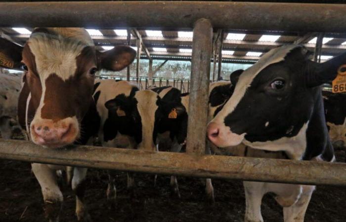 le conseil départemental soutient l’achat de petit matériel agricole