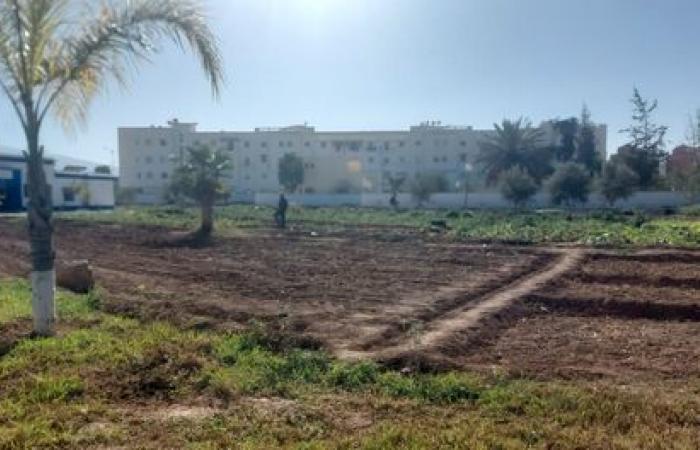 En raison du froid extrême…une campagne dans la province d’Al Hoceima pour collecter et abriter les sans-abri