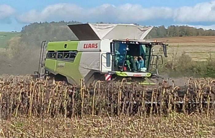 Un automne très timide sous le soleil