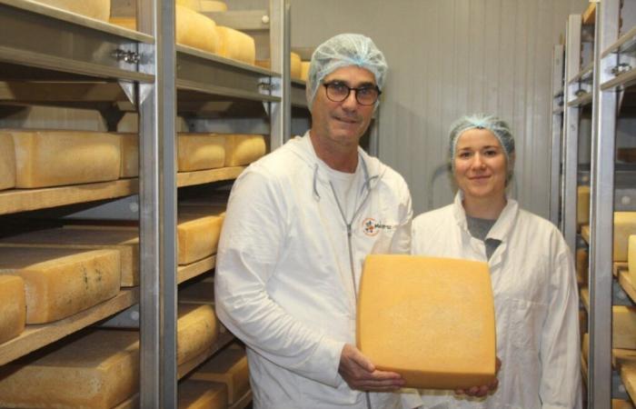 Yaourts, fromages… trois médailles internationales pour cette ferme de Loire-Atlantique