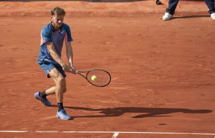 Prédictions de l’ATP Brisbane pour la première journée, y compris Goffin contre Vukic