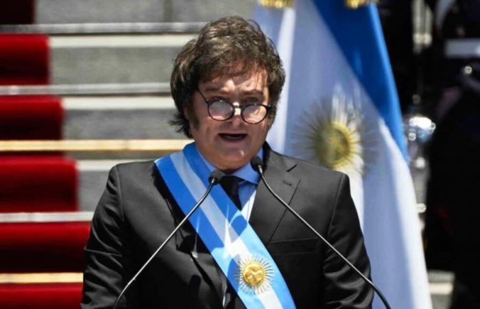 Toujours en crise, l’Argentine de Javier Milei vend 600 millions de réserves en dollars