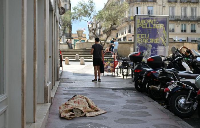 PHOTOS. Agriculteurs, abbé Pierre, incendie dans l’église Saint-François… Retour sur l’année insolite à Montpellier