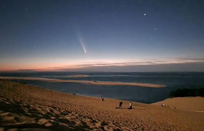 Un envasement à Andernos, des aurores boréales sur la dune du Pilat, Tom Cruise… Voici les articles les plus lus sur le bassin d’Arcachon sur sudouest.fr