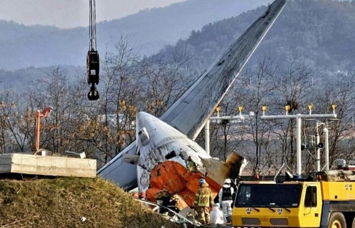 Oiseaux, victimes, sauvetage… L’essentiel sur le crash d’un avion de Jeju Air