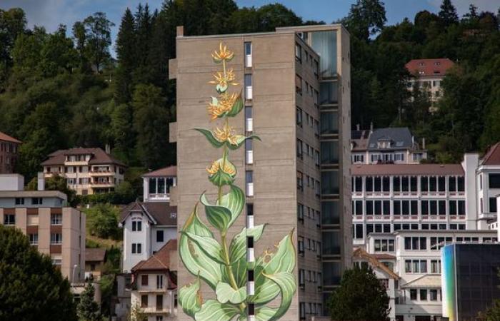 Mona Caron brille sur les façades du monde entier