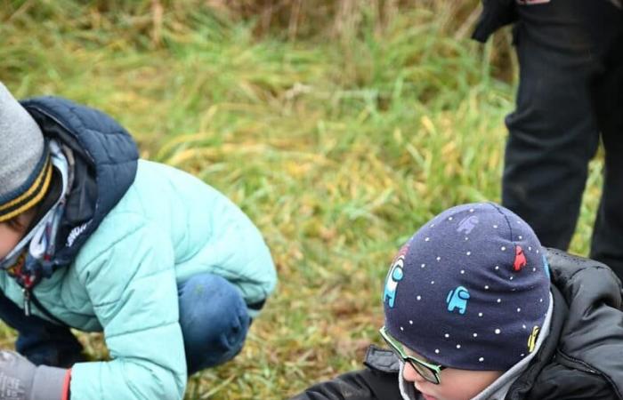 Sensibilis’haie s’implante à Saint-Loup-sur-Aujon