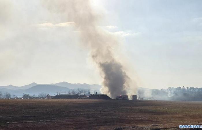 176 morts, 3 disparus, 2 sauvés dans un accident d’avion mortel