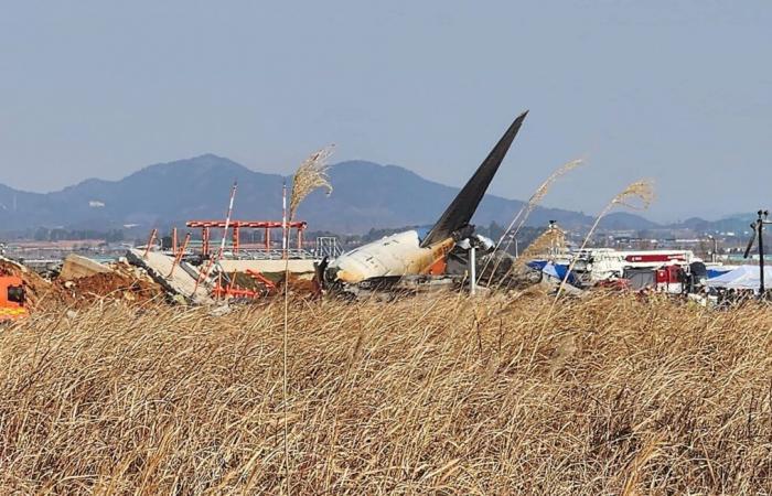 « Cœur brisé », « grande émotion »… Condoléances du monde entier après le crash meurtrier