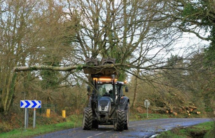 Entretien des haies sur les routes communales, sur-mesure dans l’Orne