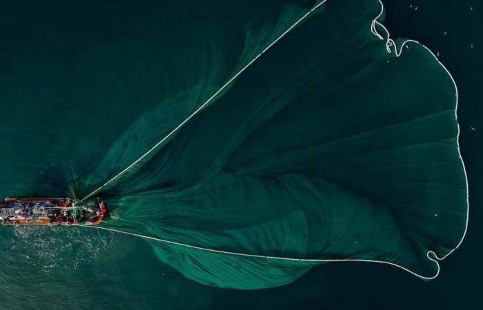 A Tahiti, un bateau de pêche battant pavillon espagnol transportait 500 kg de cocaïne