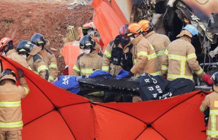 ce que l’on sait des deux seuls survivants du crash en Corée du Sud