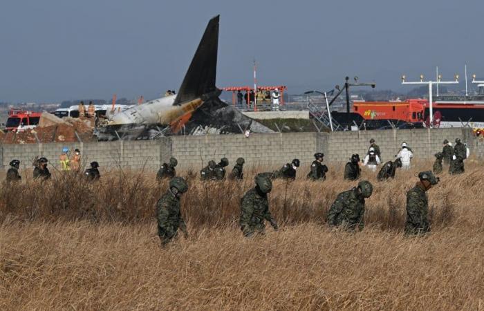 Un avion de Jeju Air entre en collision avec des oiseaux tue au moins 120 personnes en Corée du Sud