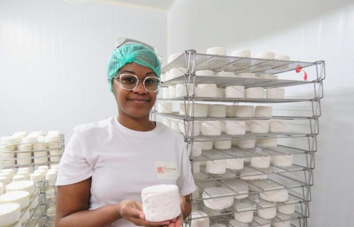 ce fromage fabriqué à Meaux remporte le prix du « Meilleur fromage du monde »