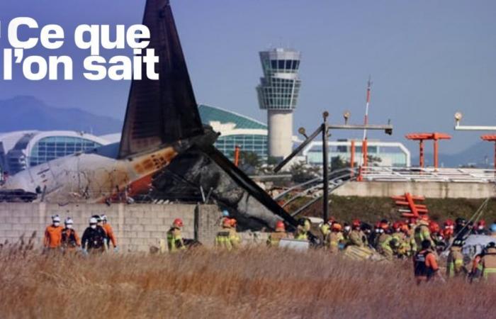 Bilan extrêmement lourd, collision avec des oiseaux… Ce que l’on sait du crash d’avion en Corée du Sud