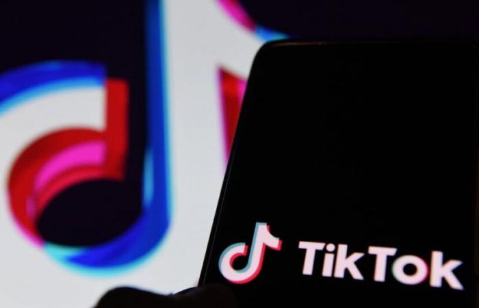 Réseaux sociaux. Quand le TikTok décrié permet de développer… sa culture générale