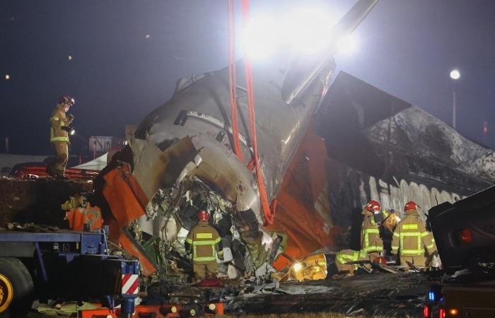 ce que l’on sait du crash qui a fait 179 morts et deux survivants