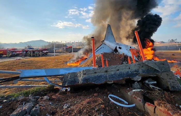 message de détresse, oiseaux… ce que l’on sait du crash d’avion