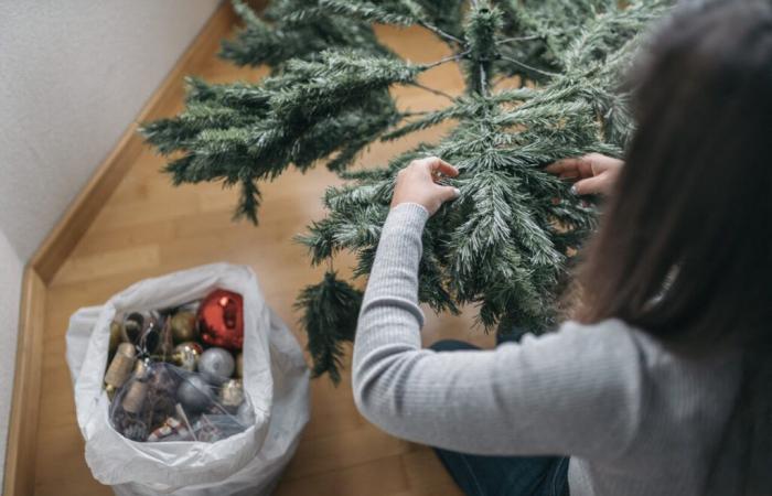 Quand faut-il retirer son arbre du salon ? C’est ce que dit la tradition