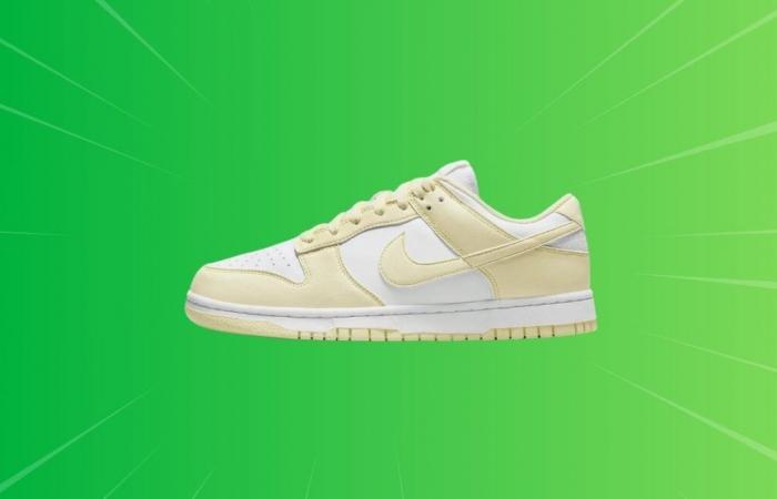 Les amateurs de sneakers s’arrachent ces Nike Dunk Low à des prix fous sur le site officiel