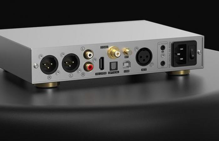 la noblesse audiophile de la conversion R2R, élevée à un niveau exceptionnel