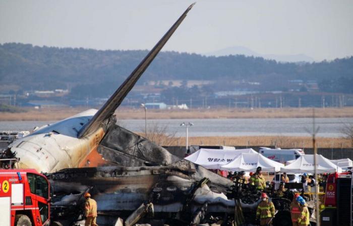 Un accident d’avion fait plus de 150 morts, seuls deux survivants ont été secourus