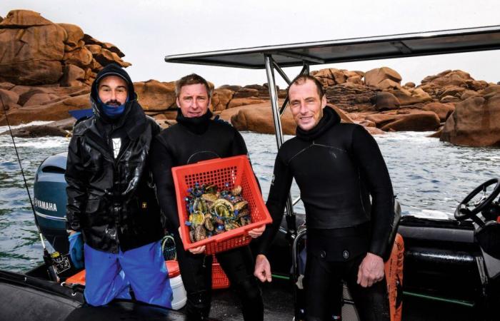 avec les pêcheurs d’ormeaux, le caviar de la mer