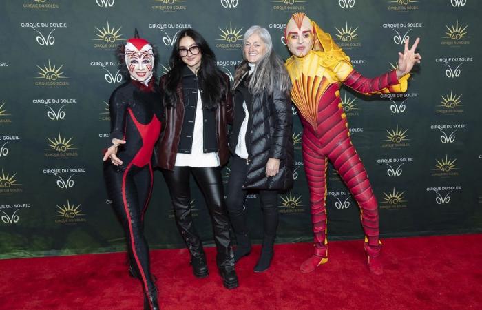 13 photos de stars sur le tapis rouge du lancement OVO du Cirque du Soleil à Montréal