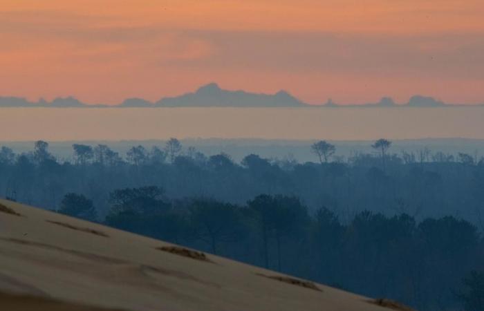 Un envasement à Andernos, des aurores boréales sur la dune du Pilat, Tom Cruise… Voici les articles les plus lus sur le bassin d’Arcachon sur sudouest.fr