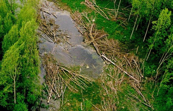 Il y a 25 ans, la tempête de 1999