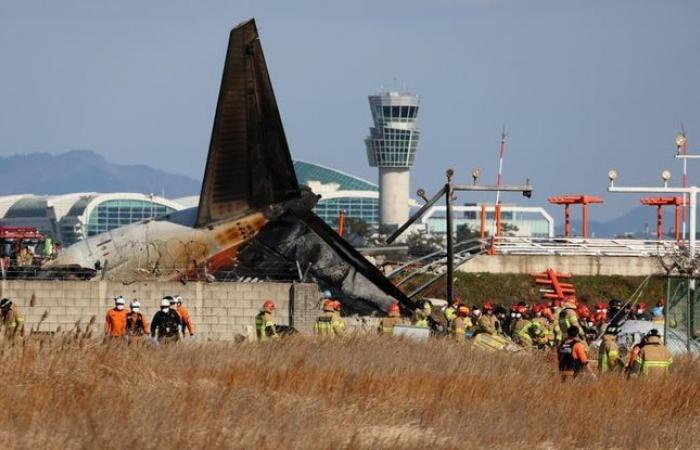 179 morts et collision d’oiseaux suspectée