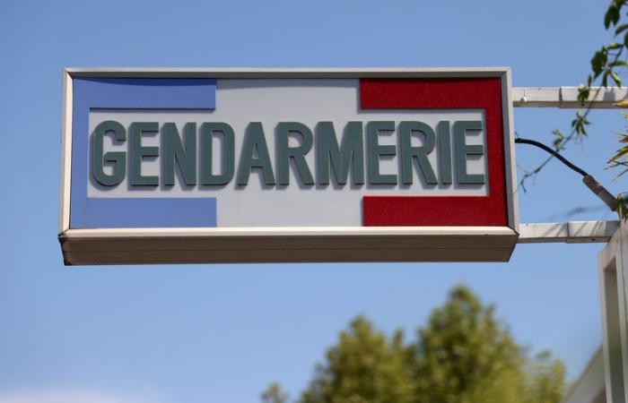 le fils de la victime arrêté en région parisienne