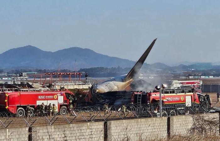 l’avion s’écrase à l’atterrissage, au moins 120 morts, l’avion semble avoir heurté des oiseaux