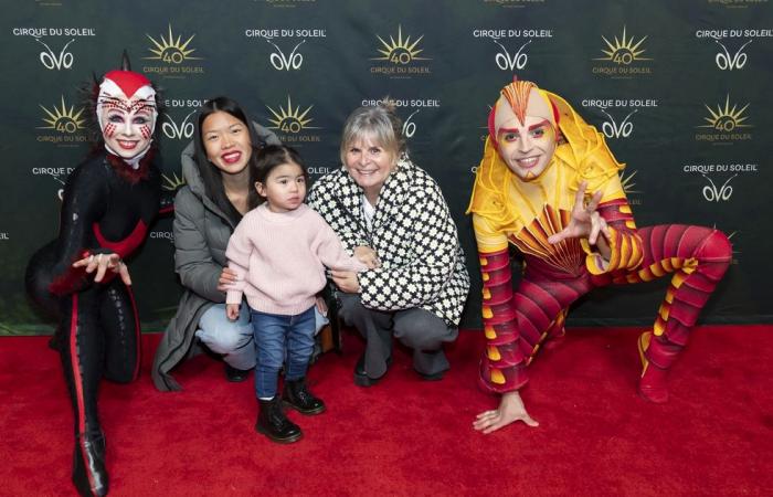 13 photos de stars sur le tapis rouge du lancement OVO du Cirque du Soleil à Montréal