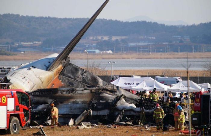 l’avion s’écrase à l’atterrissage, au moins 96 morts, l’avion semble avoir heurté des oiseaux