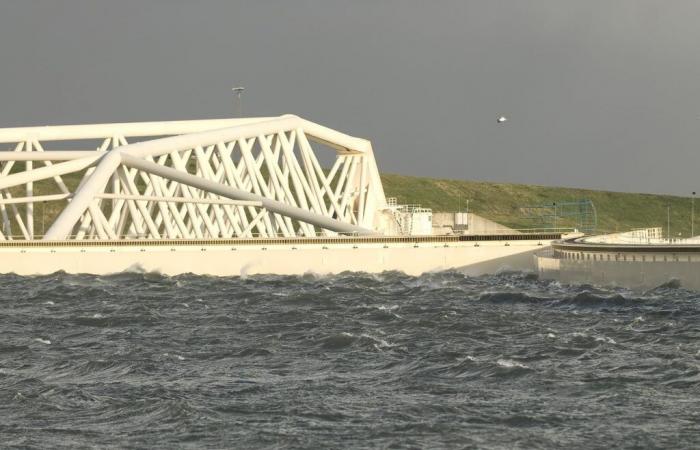 Quelles leçons les Pays-Bas offrent-ils face aux inondations ? L’Europe peut-elle s’en inspirer ?