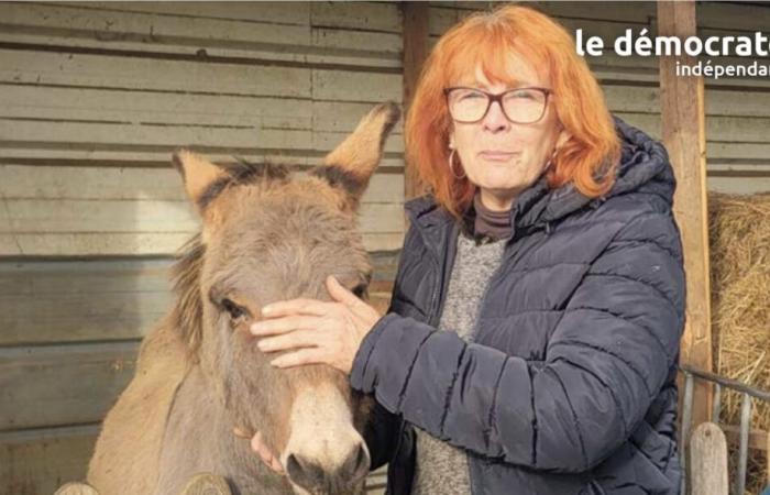 Dordogne. Le parc du Touron en grande difficulté