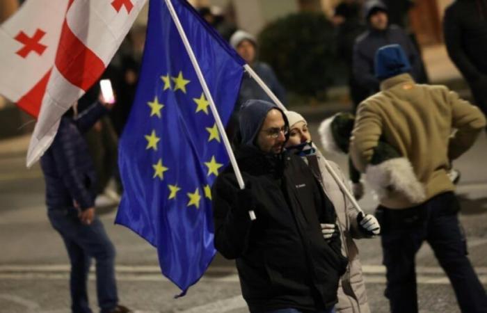 Manifestation pro-UE avant l’investiture du nouveau président contesté : Actualités