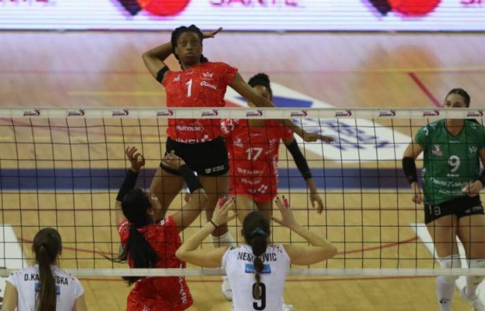 Volley-ball. Volley Mulhouse Alsace conclut 2024 par une défaite après un match fou