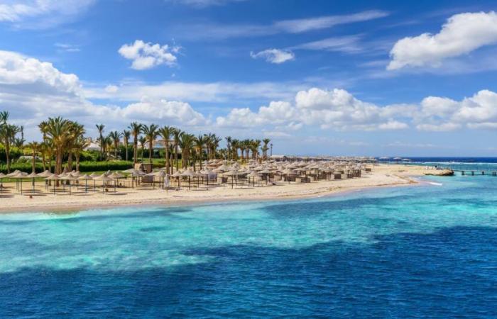 un touriste tué par un requin en mer Rouge